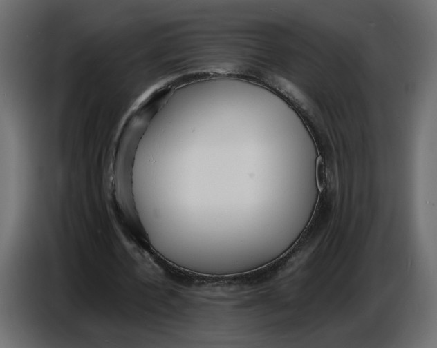 X0000086910532200705071306