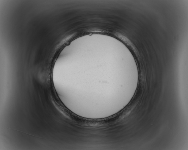 X0000086910533200705071306