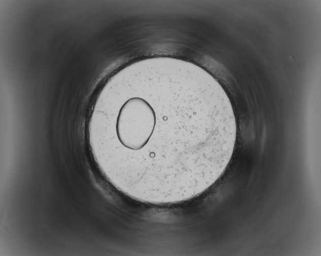 X0000086910534200705071306