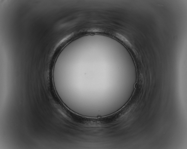 X0000086910535200705071306