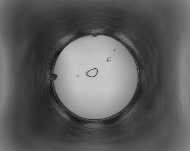 X0000086910537200705071306