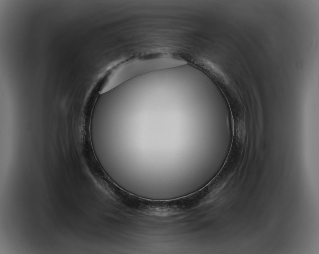 X0000086910540200705071306