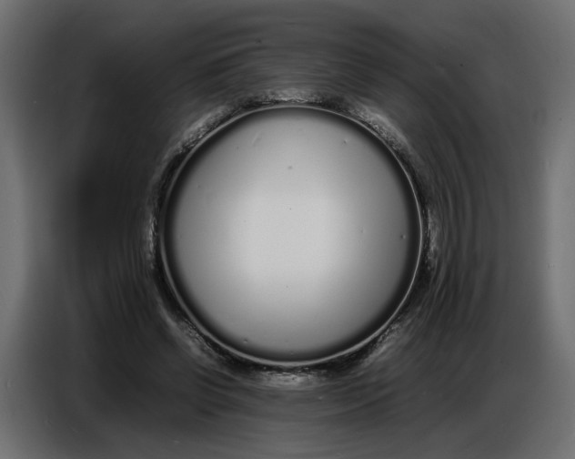 X0000086910542200705071306