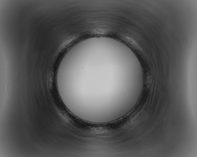 X0000086910544200705071306