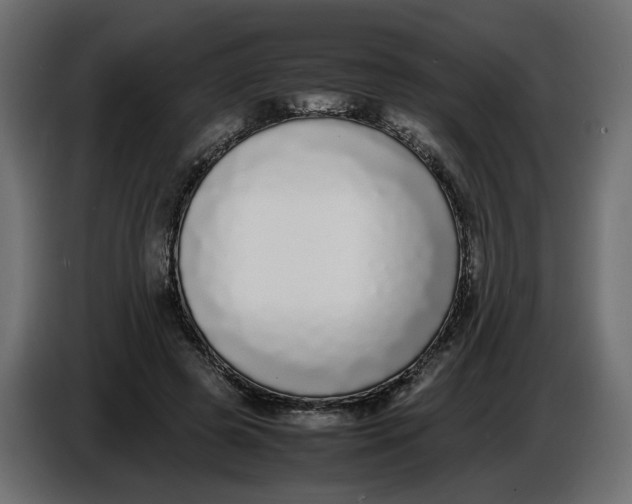 X0000086910545200705071306