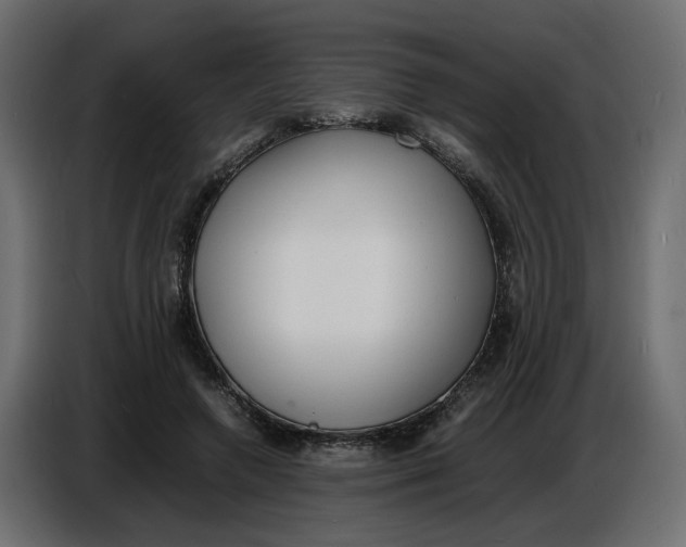 X0000086910546200705071306