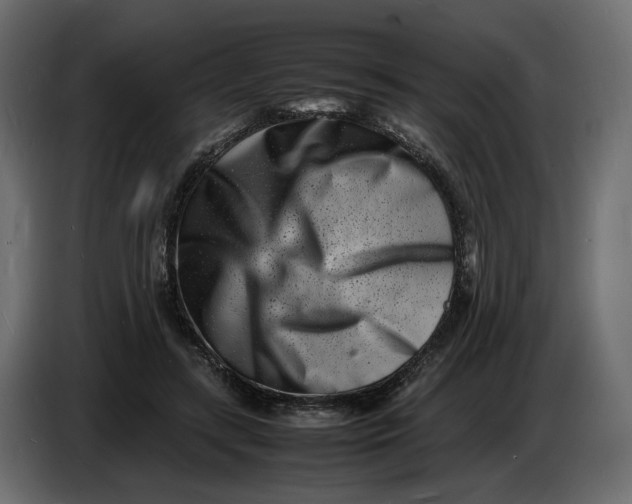 X0000086910547200705071306