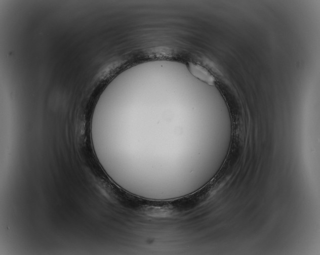 X0000086910548200705071306