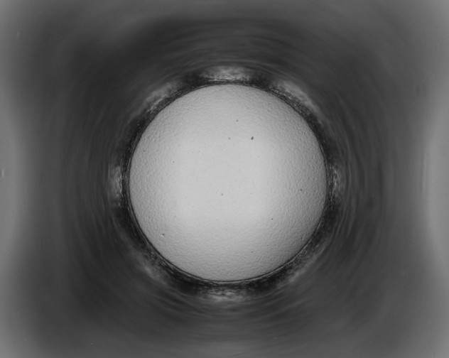 X0000086910549200705071306