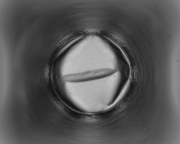 X0000086910550200705071306