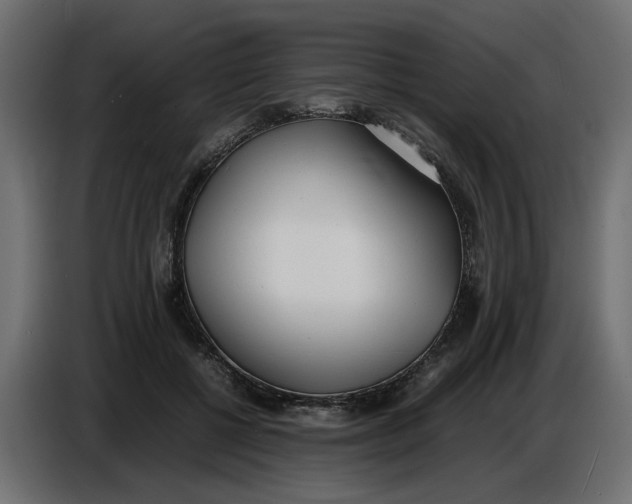 X0000086910552200705071306