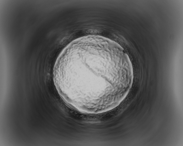 X0000086910553200705071306