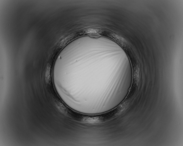 X0000086910554200705071306