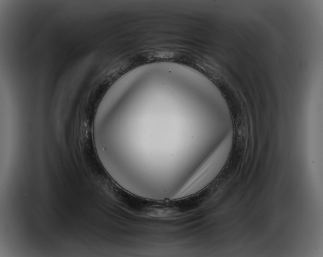 X0000086910555200705071306