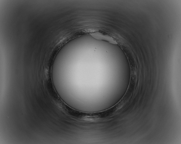 X0000086910556200705071306