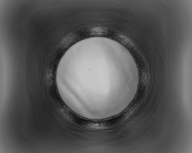 X0000086910557200705071306