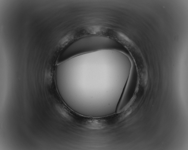 X0000086910558200705071306