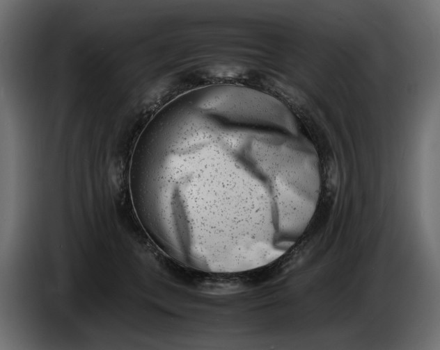 X0000086910559200705071306