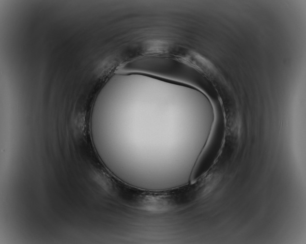 X0000086910560200705071306