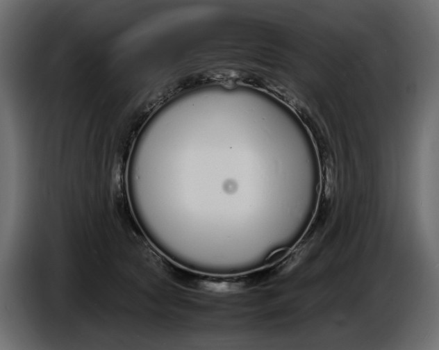 X0000086910561200705071306