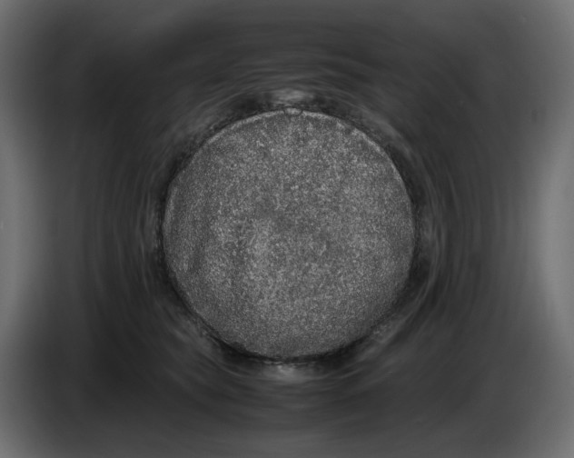 X0000086910565200705071306