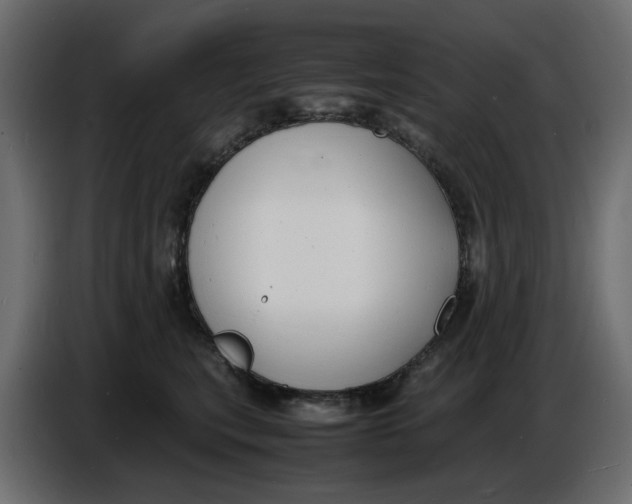 X0000086910567200705071306