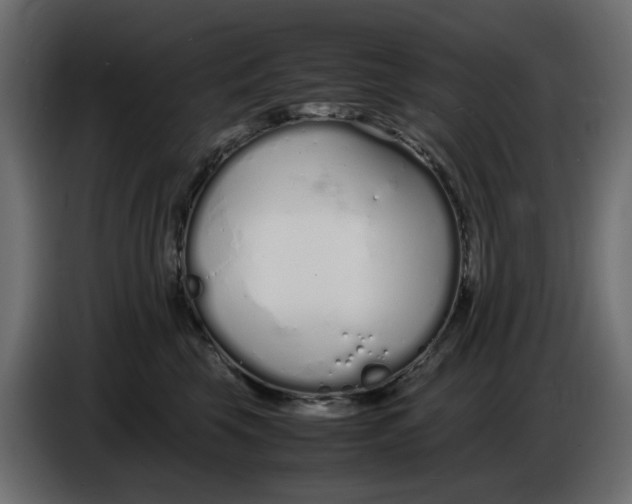 X0000086910569200705071306