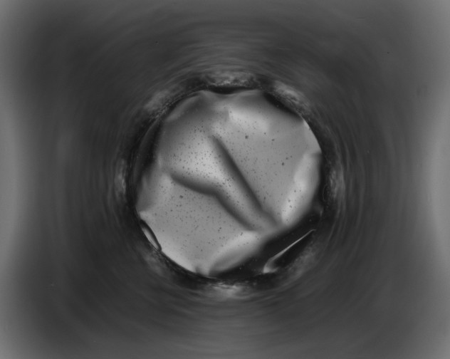 X0000086910570200705071306