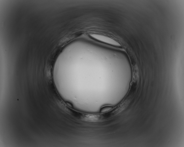 X0000086910573200705071306