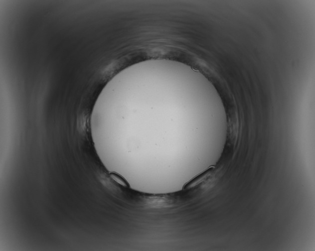 X0000086910574200705071306