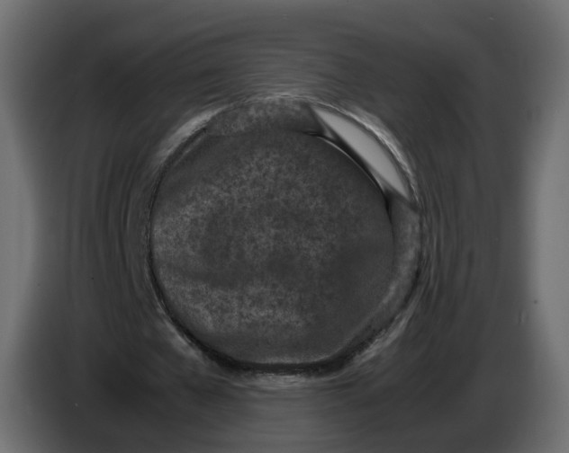 X0000086910577200705071306