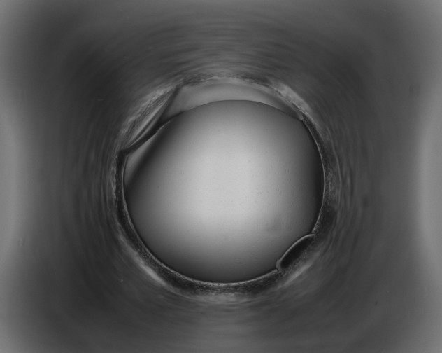 X0000086910581200705071305