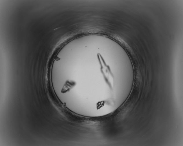 X0000086910582200705071305