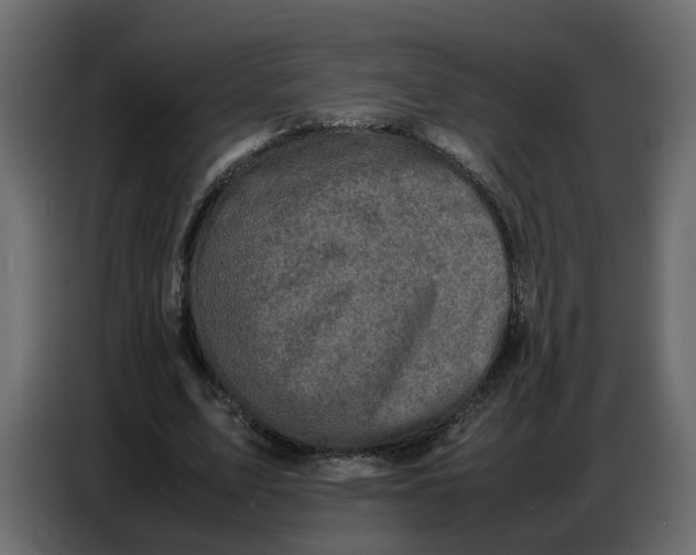 X0000086910583200705071305