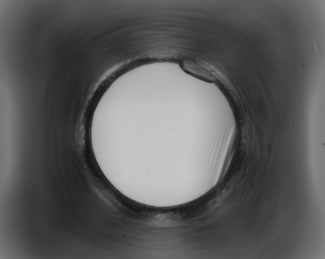 X0000086910584200705071305