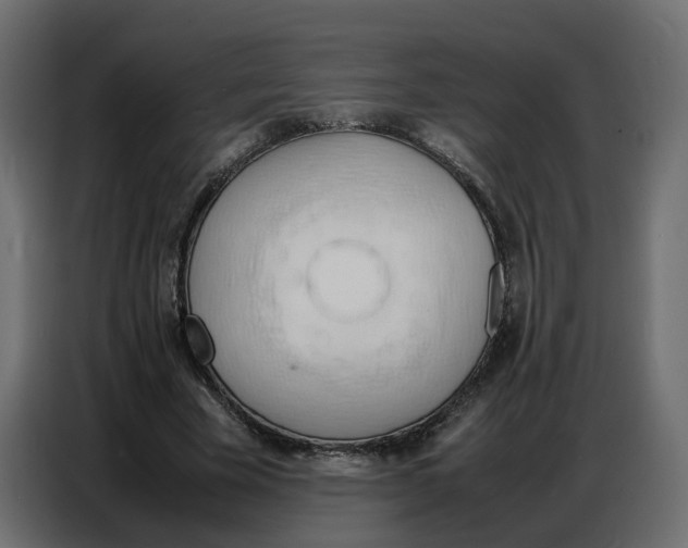 X0000086910585200705071305