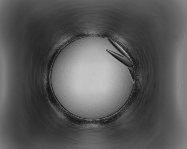 X0000086910586200705071305