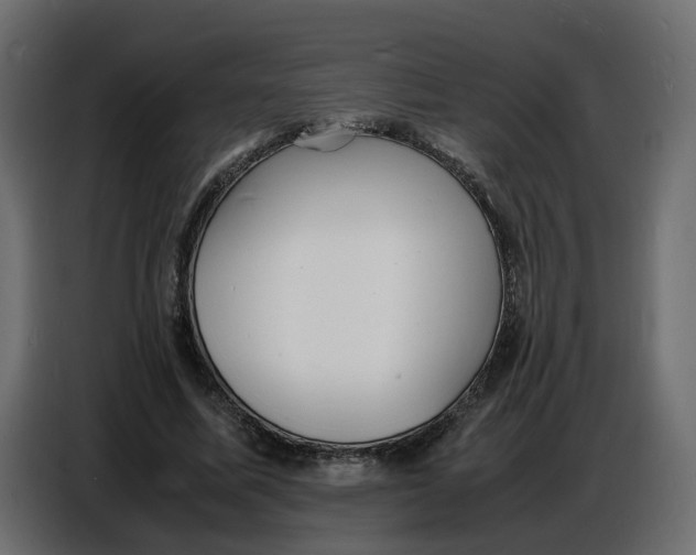 X0000086910587200705071305