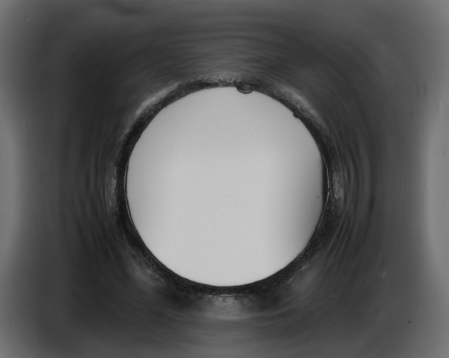 X0000086910588200705071305