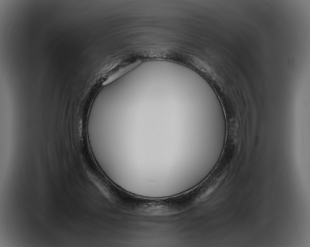 X0000086910589200705071305