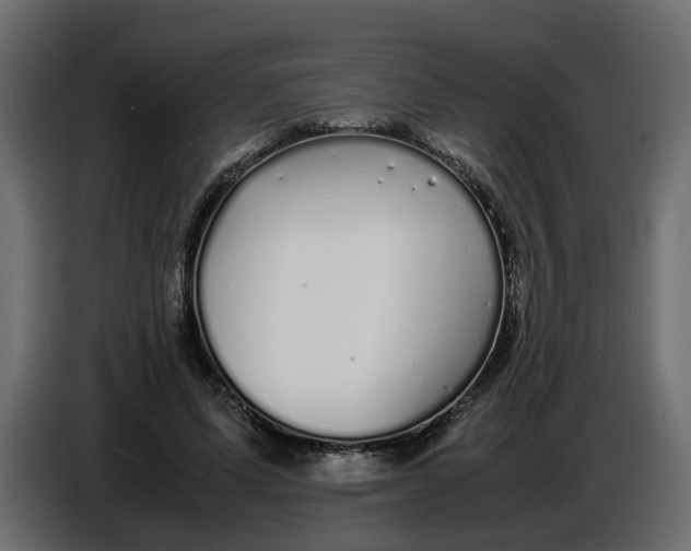 X0000086910591200705071305