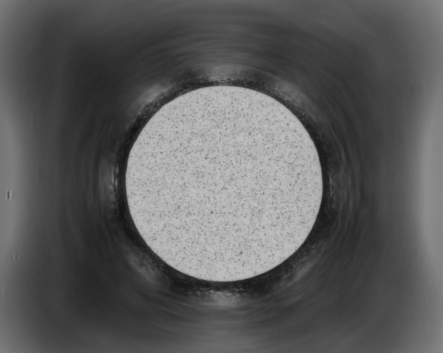 X0000086910592200705071305