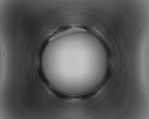 X0000086910593200705071305