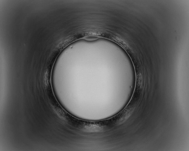 X0000086910594200705071305