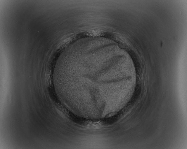 X0000086910599200705071305