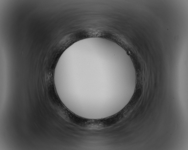 X0000086910601200705071305