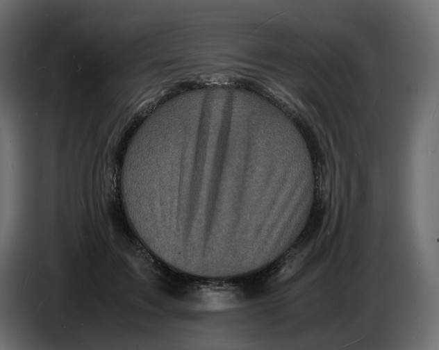 X0000086910603200705071305