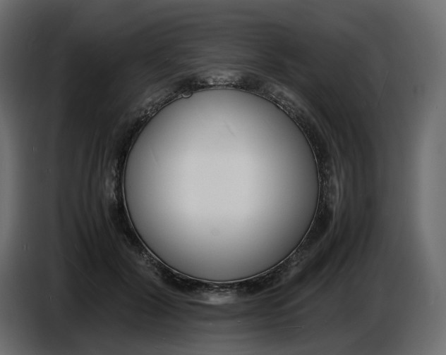 X0000086910604200705071305