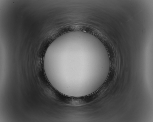 X0000086910605200705071305