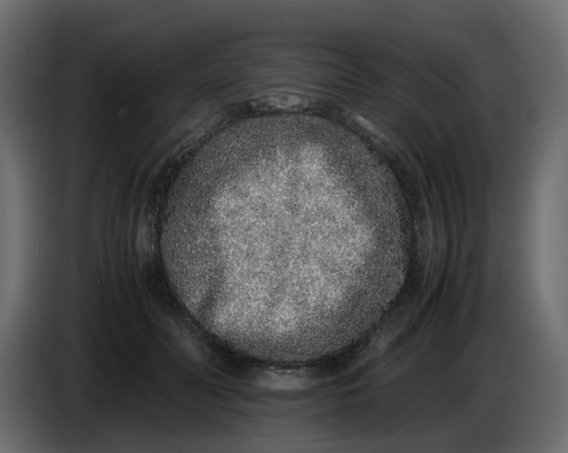 X0000086910606200705071305